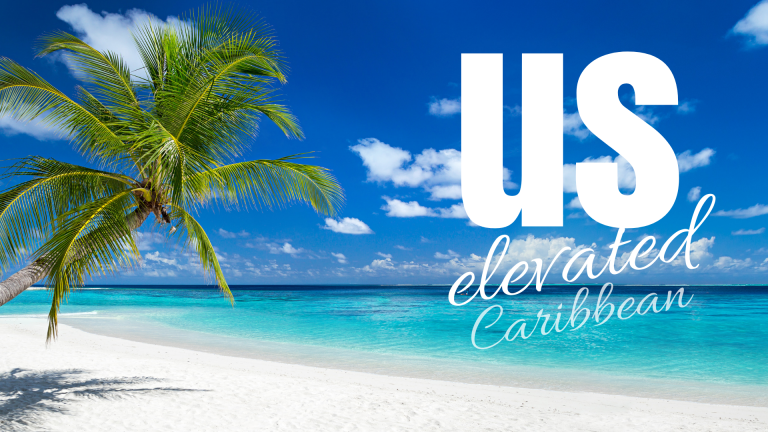caribbean beach with palm tree with Marriage Education cruise logo